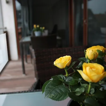 Casa de hóspedes Messe- Und Gaestezimmer Hildesheim 3*