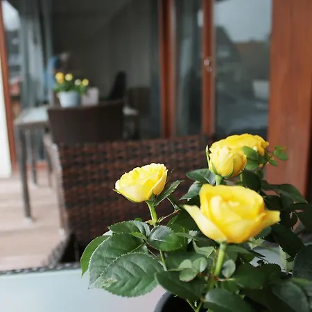 Guest house Messe- Und Gaestezimmer Hildesheim Harsum
